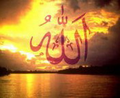 Doul wallpaper16